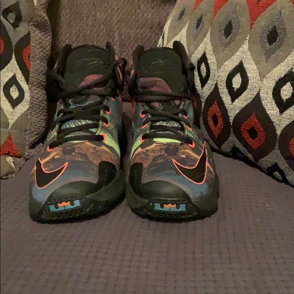 Nike Shoes - Lebron James